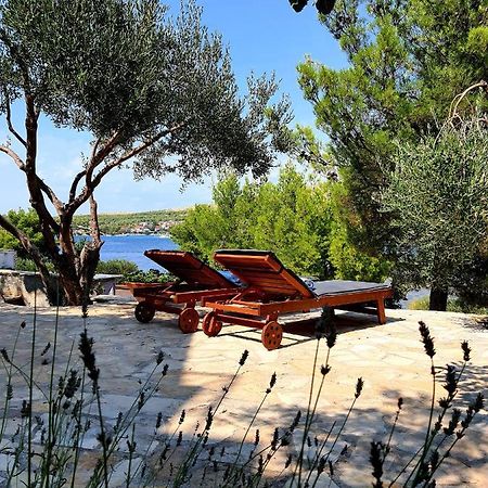 Villa Gjardini - Sparadici Grebaštica Dış mekan fotoğraf