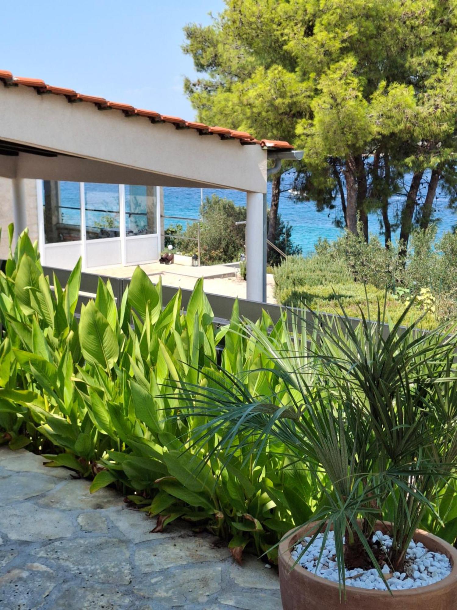 Villa Gjardini - Sparadici Grebaštica Dış mekan fotoğraf